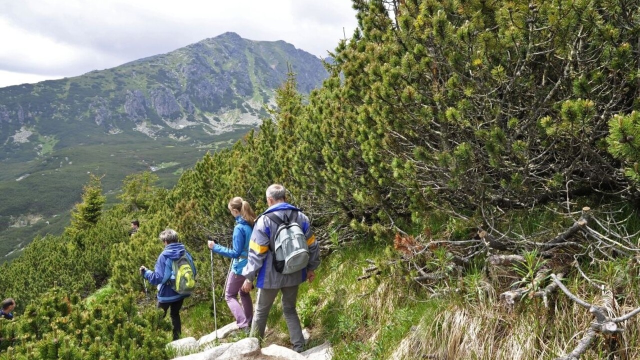 Turistika Tatry TANAP hory les 1140 px (SITA/Radoslav Maťaš)