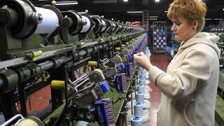 Majiteľ priemyselného parku môže pochovať Nexis, tvrdí akcionár