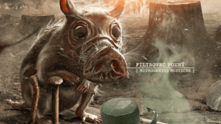 Na konci evolúcie nie je krása, varuje festival Ekotopfilm