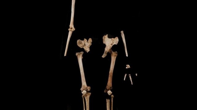 flores-floresiensis-lb1-skeleton_0a000002-173f-cb8f.jpg