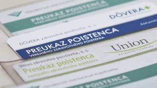 Drucker by rád siahol na zisk poisťovní, ústavu vraj neporuší