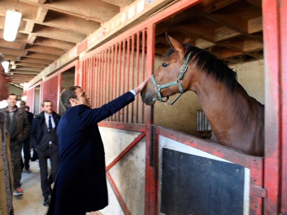 Bardotovej prekáža chlad Macronových oceľovomodrých očí
