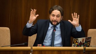 Horalky zamestnajú parlamentný výbor, poslanec Žiak podal podnet na Blahu a Tarabu