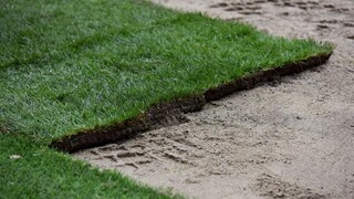 Holandskí kapitáni chcú zakázať zápasy na umelej tráve