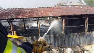 Fotogaléria: Hasiči bojovali s mohutným požiarom pri Bratislave