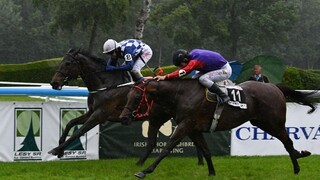 Na petržalskej dostihovej dráhe triumfoval favorit z českej stajne