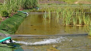 Letná sezóna na rybníkoch v Snine je pre spor v ohrození