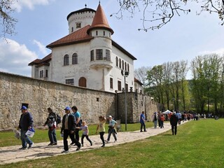 Považské múzeum získalo vzácny strom, má s ním smelé plány