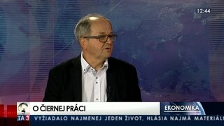 HOSŤ V ŠTÚDIU: V. Páleník o čiernej práci a navrhovaných zmenách rezortu