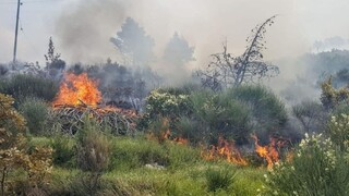 V chorvátskej turistickej destinácii bojovali s lesným požiarom