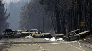 Zverejnili videá zobrazujúce skazu po požiaroch v Portugalsku