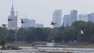 Premiéri V4 a Beneluxu sa stretli vo Varšave. Témou bol aj Brexit