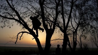 V okrese Zlín prečesávajú les. Hľadajú slovenských lupičov