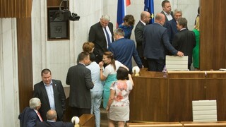 Rezníka podľa opozície pomohli zvoliť fašisti, Glváč to odmieta