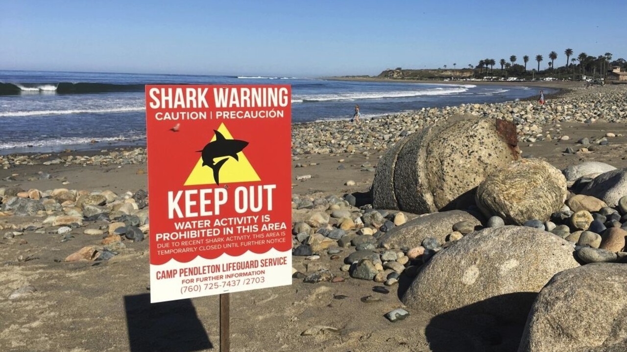 Turistov na Malorke vydesil žralok, ktorý zablúdil k pláži