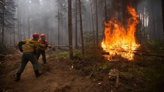 Odborníci v Španielsku podozrievajú zo založenia požiarov ľudí