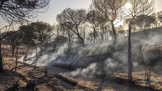 Španielski hasiči nekončia s hasením rozsiahlych požiarov