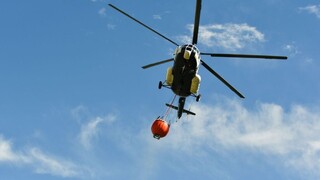 Požiar na Záhorí zlikvidoval borovicový les