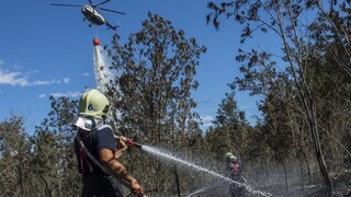Hasiči zlikvidovali požiar, ktorý na Záhorí zničil desiatky hektárov lesa