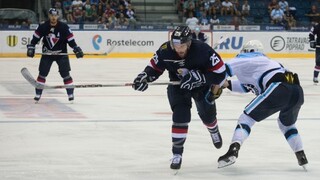 Viedenský sa po operáciách kolena opäť postavil na ľad