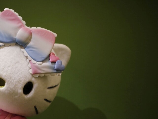 Závidí mu nejedno dievčatko. Expolicajt má najväčšiu zbierku Hello Kitty