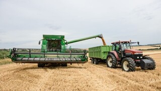 Cena pšenice láme rekordy. V Európe je jej nedostatok