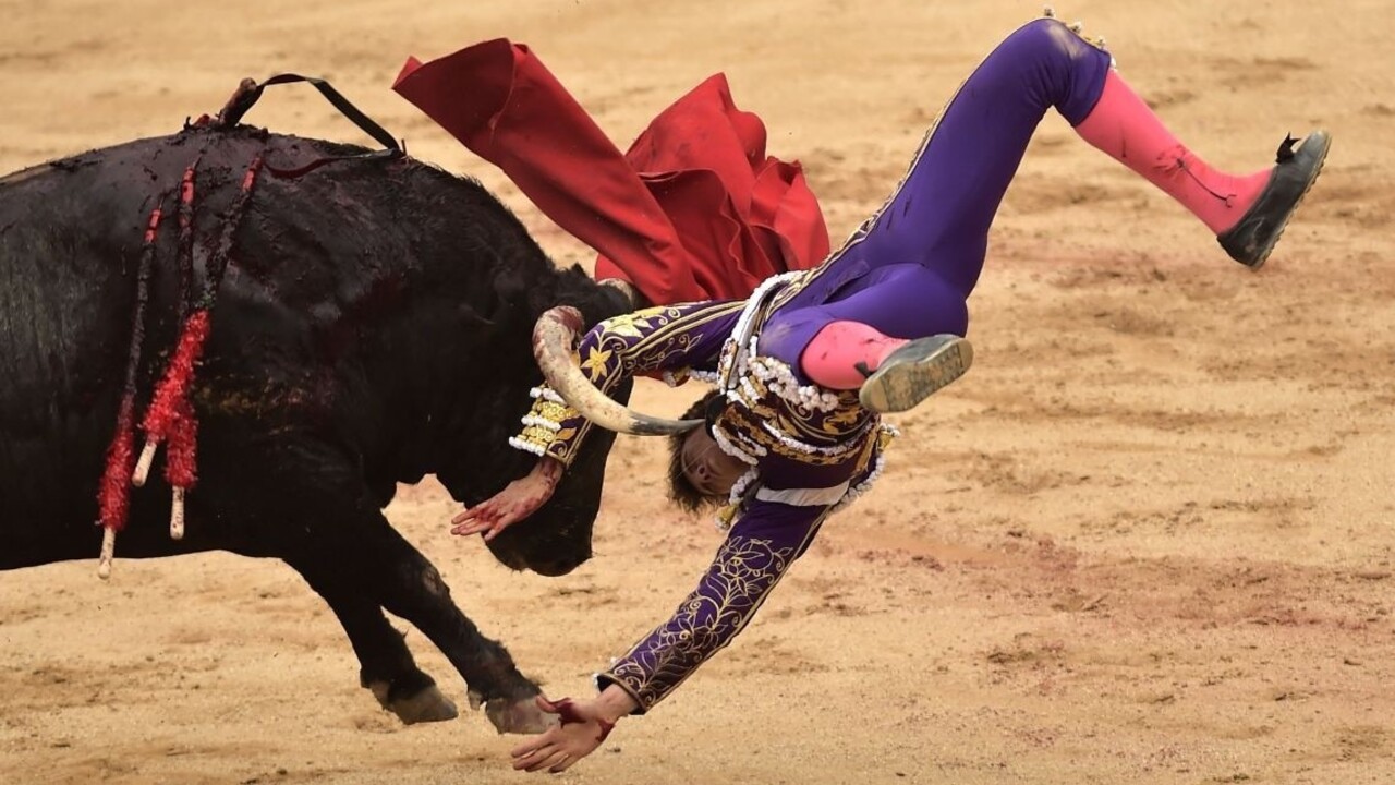 Fotogaléria: Býky sa rozbehli Pamplonou, čelili im stovky ľudí
