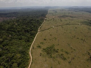 V Brazílii navrhujú zmenšiť Amazonský prales a zvýšiť výrub stromov