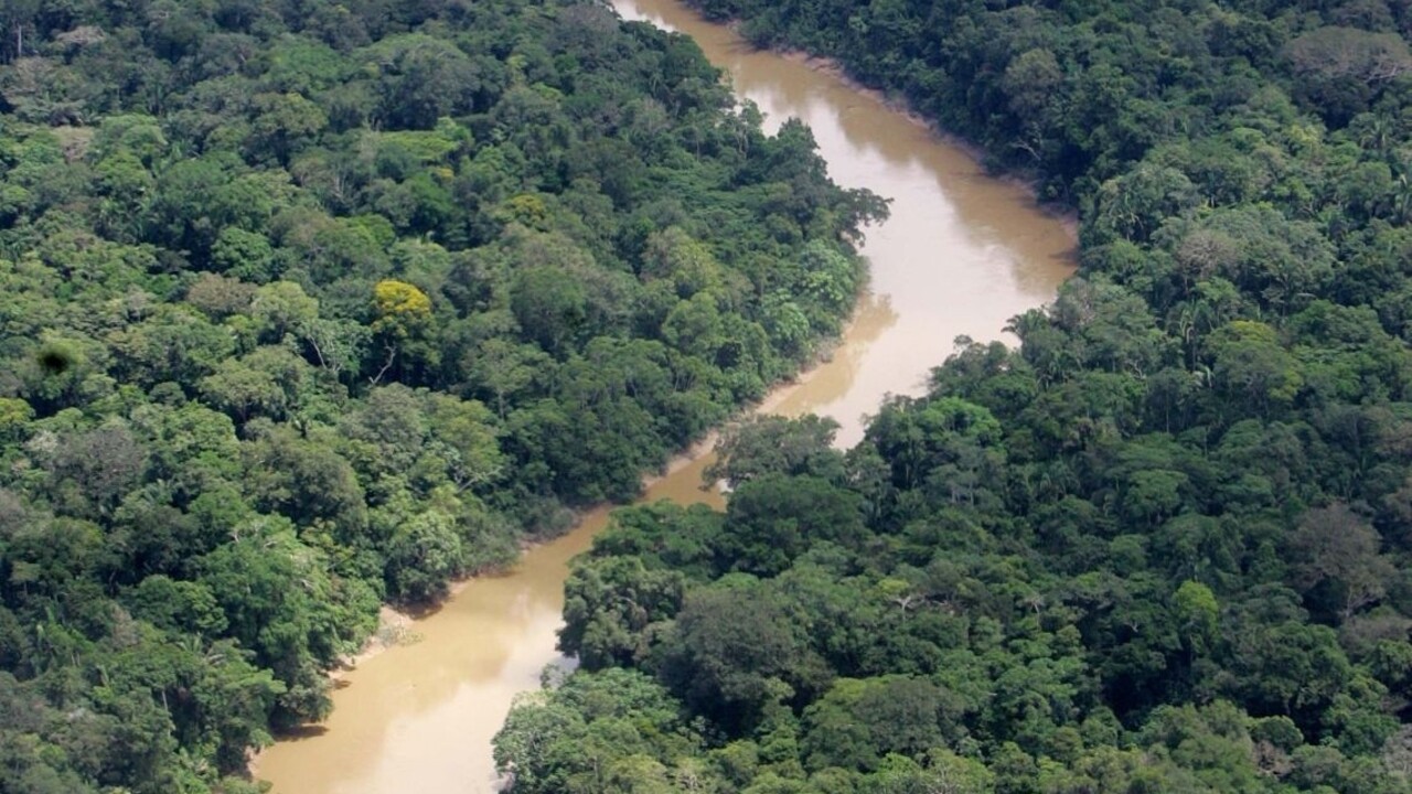 Prales dažďový les Amazónia 1140px (SITA/AP)