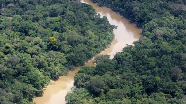Prales dažďový les Amazónia 1140px (SITA/AP)