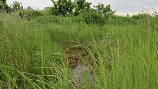 Skládka vo Vrakuni spôsobuje problémy, zvažujú monitoring studní