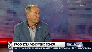 HOSŤ V ŠTÚDIU: V. Páleník o prognóze Menového fondu