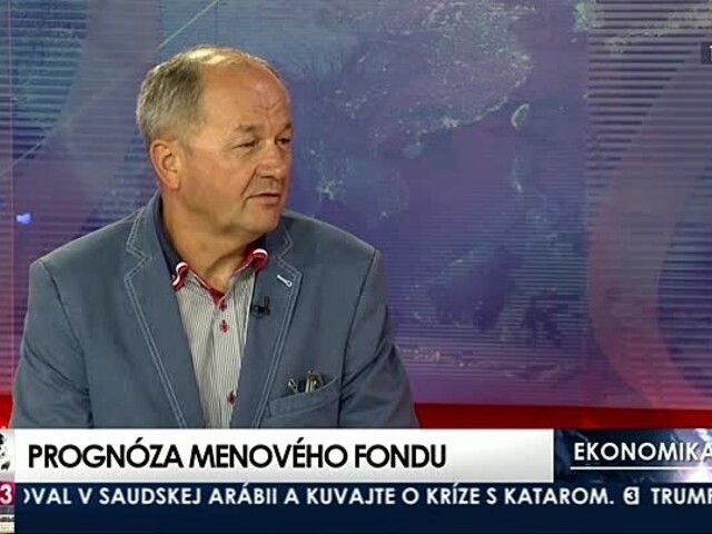 HOSŤ V ŠTÚDIU: V. Páleník o prognóze Menového fondu