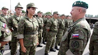 Armáda vycvičí ďalších dobrovoľníkov, v budúcnosti ich chce viac