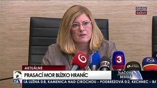 TB G. Matečnej a J. Bíreša o africkom more ošípaných neďaleko Slovenska