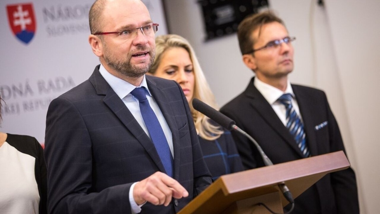 Ak by vznikla menšinová vláda, SaS ju podporí len dočasne