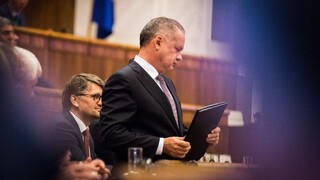 Kiska omilostil ženu, jej deti by skončili v detskom domove