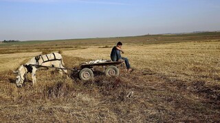 Izrael zabráni Palestínčanom podkopať sa, postaví dlhý múr