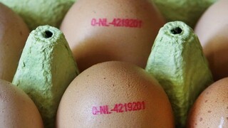 V Belgicku a Holandsku robia razie pre kontaminované vajcia