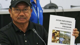 Filipíny bojujú s vtáčou chrípkou, vírus mohol prísť z Číny