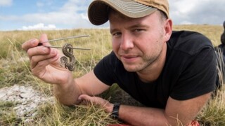 Objavili nový druh hada, na výskume sa podieľal aj Slovák