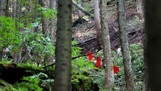 Nehodu záchranárskeho vrtuľníka vyšetrili, príčinu však nezistili