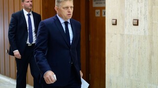 Prieskum zisťoval názory verejnosti na koaličnú krízu a Plavčanov koniec