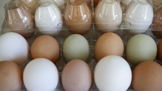 Kúpiť slovenské vajcia bude možno problém, varujú obchodníci