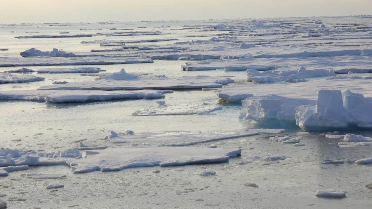 Sprievodca vystrašil chránené zviera, dostal vysokú pokutu