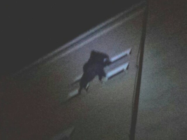 Zachraňovali mladú ženu, ktorá visela na parapetnej doske