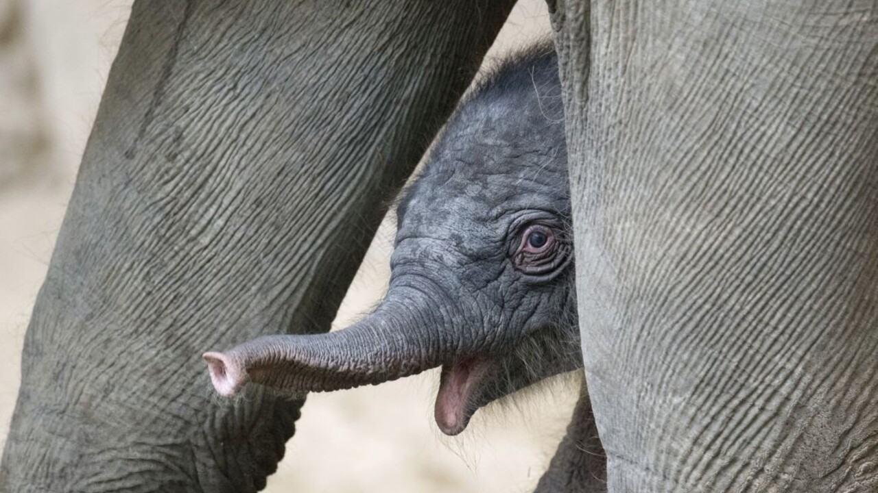 Najzaujímavejšie fotografie týždňa