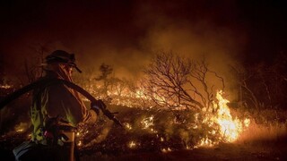 Neutíchajúci oheň v Los Angeles vyhnal z domov stovky rodín