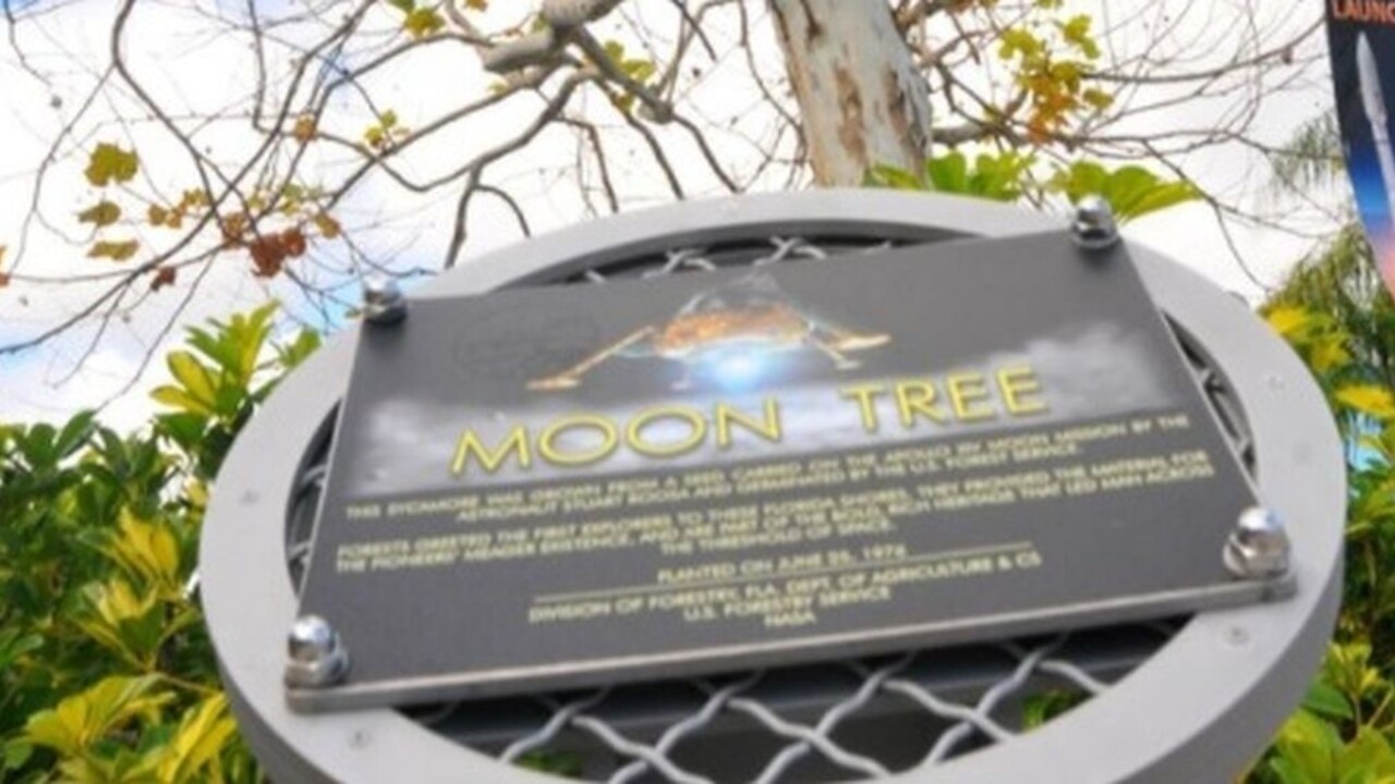 Na ničivú silu Irmy doplatil aj symbol vesmírnej misie Apollo