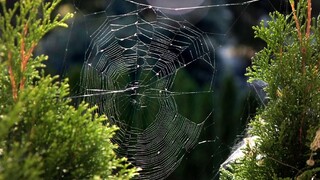 Meteorológovia prezradili, kedy môžeme očakávať babie leto